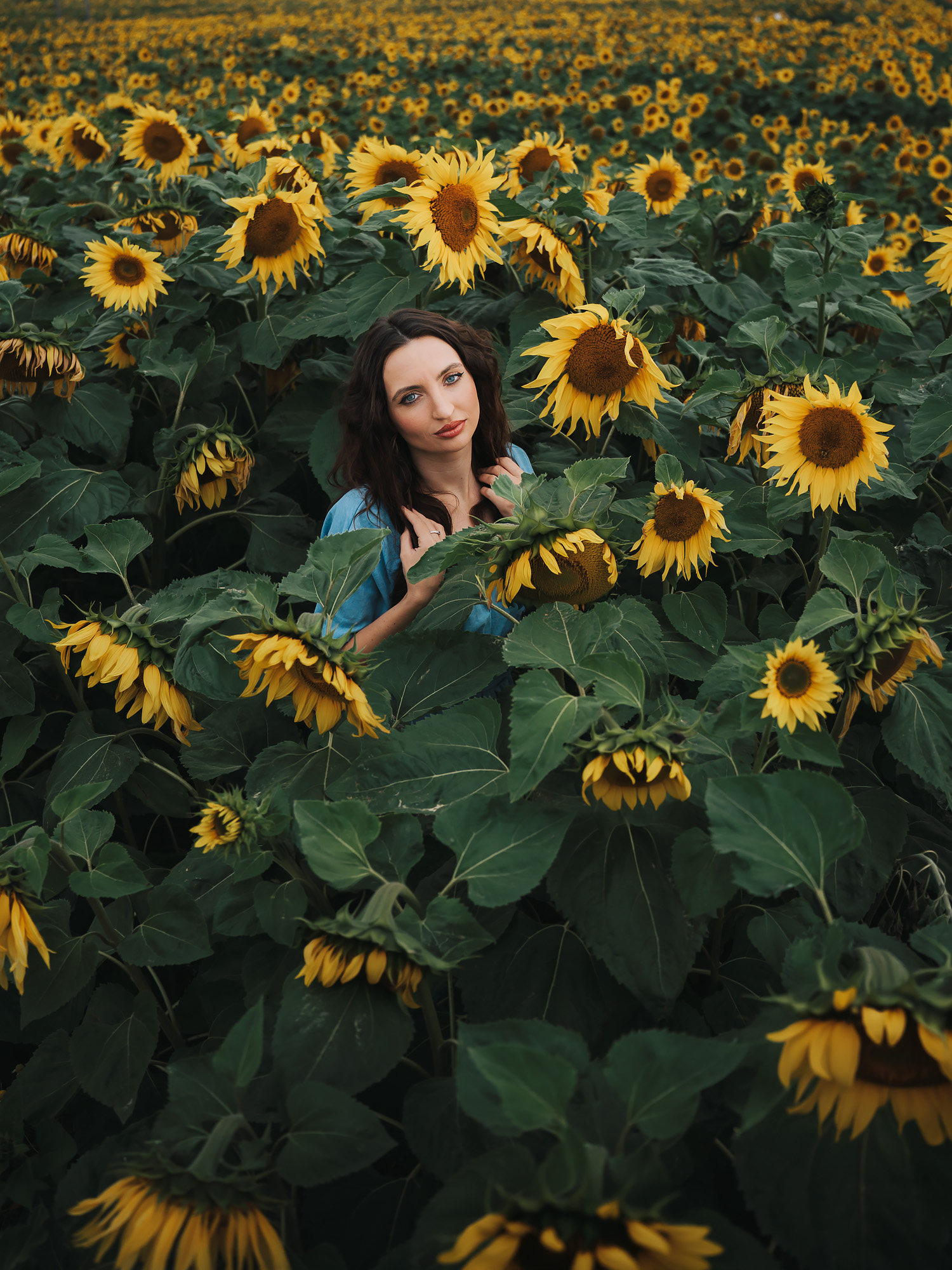 Facing East — a sunflower field editorial near North Berwick with Naomi