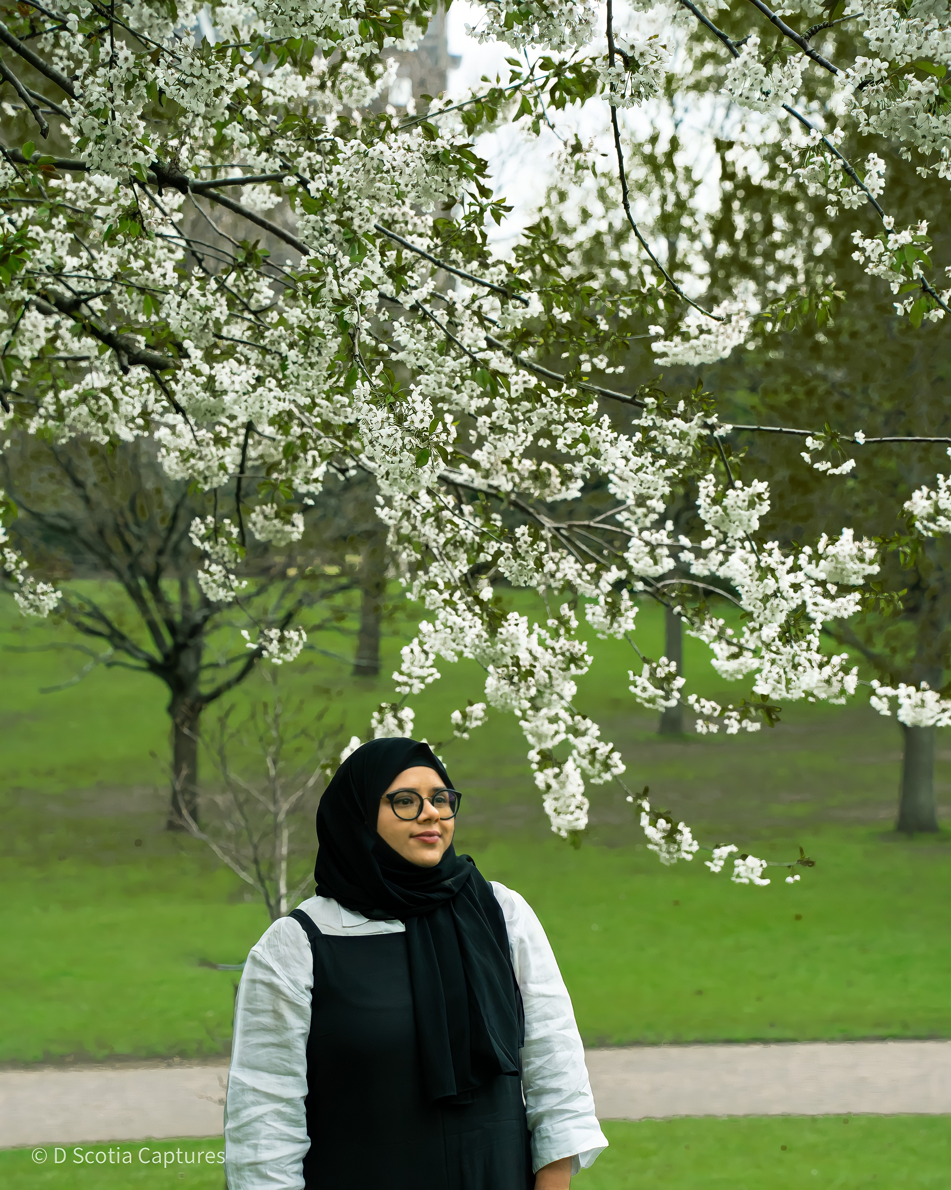 Solo photography package example
